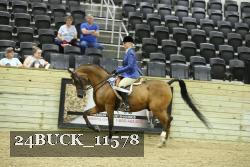 24BUCK_11578 thumbnail