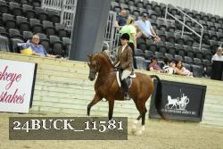 24BUCK_11581 thumbnail