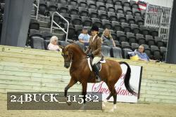 24BUCK_11582 thumbnail