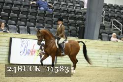24BUCK_11583 thumbnail