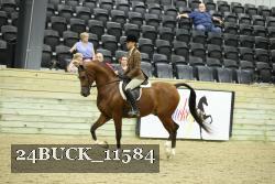 24BUCK_11584 thumbnail