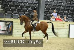 24BUCK_11585 thumbnail