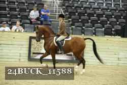 24BUCK_11588 thumbnail