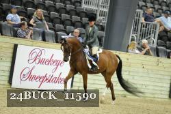 24BUCK_11590 thumbnail
