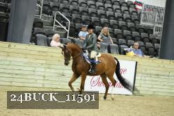 24BUCK_11591 thumbnail