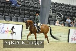 24BUCK_11592 thumbnail