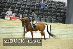 24BUCK_11594 thumbnail