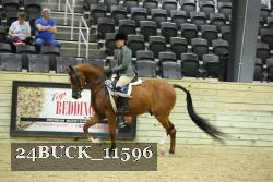 24BUCK_11596 thumbnail