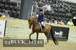 24BUCK_11599 thumbnail