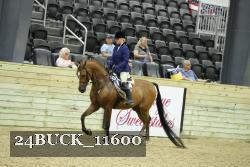 24BUCK_11600 thumbnail