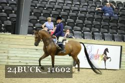 24BUCK_11602 thumbnail
