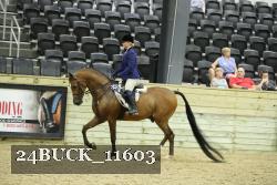 24BUCK_11603 thumbnail