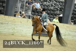 24BUCK_11607 thumbnail