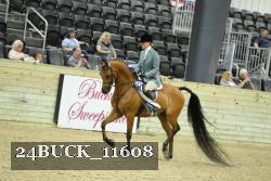 24BUCK_11608 thumbnail