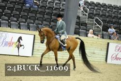 24BUCK_11609 thumbnail