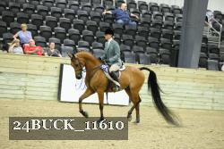 24BUCK_11610 thumbnail
