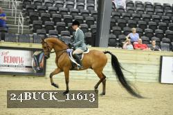 24BUCK_11613 thumbnail