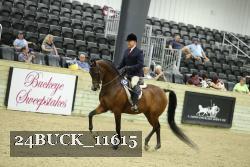 24BUCK_11615 thumbnail