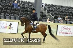 24BUCK_11616 thumbnail