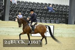 24BUCK_11617 thumbnail