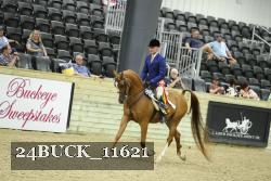 24BUCK_11621 thumbnail
