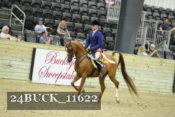 24BUCK_11622 thumbnail