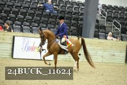 24BUCK_11624 thumbnail