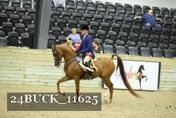 24BUCK_11625 thumbnail