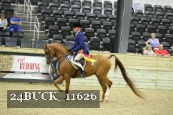 24BUCK_11626 thumbnail