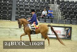 24BUCK_11628 thumbnail