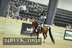 24BUCK_11632 thumbnail