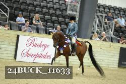 24BUCK_11633 thumbnail