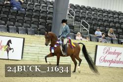 24BUCK_11634 thumbnail