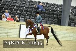 24BUCK_11635 thumbnail