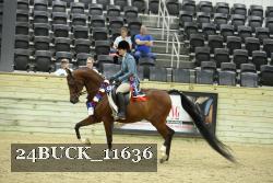 24BUCK_11636 thumbnail