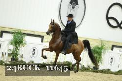 24BUCK_11645 thumbnail