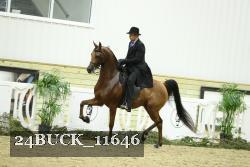 24BUCK_11646 thumbnail