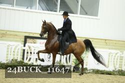 24BUCK_11647 thumbnail