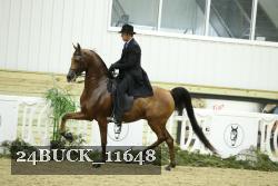 24BUCK_11648 thumbnail
