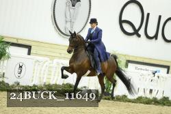 24BUCK_11649 thumbnail