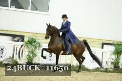 24BUCK_11650 thumbnail