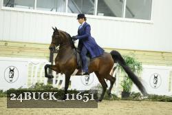 24BUCK_11651 thumbnail