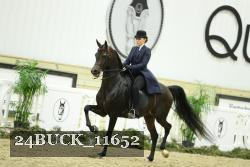 24BUCK_11652 thumbnail