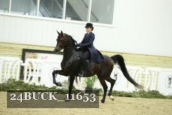 24BUCK_11653 thumbnail