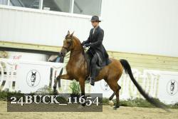 24BUCK_11654 thumbnail