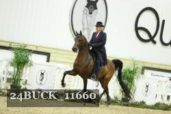 24BUCK_11660 thumbnail