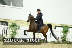 24BUCK_11661 thumbnail