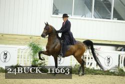 24BUCK_11663 thumbnail