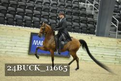 24BUCK_11665 thumbnail
