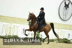 24BUCK_11666 thumbnail